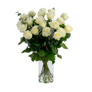 Witte Rozen kies aantal