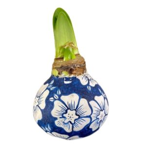 Amaryllis Delfst Blauwe Bol